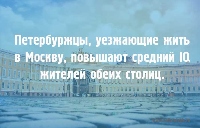 Московские цитаты. Цитаты про Питер. Цитаты про Москву и Питер. Смешные цитаты про Питер. Цитаты о Питере весёлые.