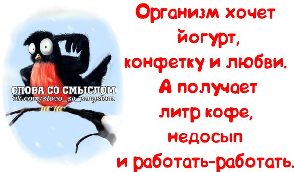 Получать смысл. Позитивные картинки со смыслом для поднятия. Слова со смыслом про четверг. Статус про настроение со смыслом короткие. Слова со смыслом воскресенье.